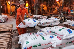 Giá phân bón tăng ảnh hưởng đến hoạt động sản xuất vụ Đông Xuân 2021-2022