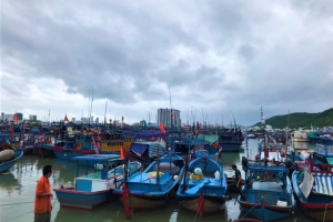 Khánh Hòa: Sơ tán dân, cho học sinh nghỉ học để tránh bão