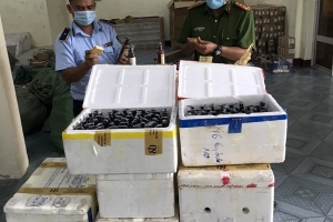 Phú Yên: Phát hiện gần 3.000 sản phẩm mỹ phẩm không rõ nguồn gốc xuất xứ
