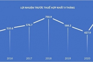 Tập đoàn Dệt May Việt Nam: Lợi nhuận tăng trưởng mạnh so với cùng kỳ