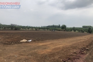 Đồng Nai: Nhiều điểm mới trong quy định tách thửa, hợp thửa đất
