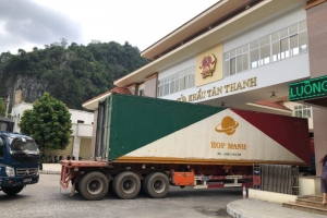 Các doanh nghiệp nên xuất khẩu chính ngạch
