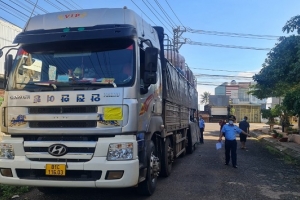 Gia Lai: Tịch thu hơn 1.000 ô che mưa nhập lậu
