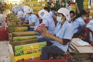 Việt Nam giữ vững mức thặng dư thương mại tại thị trường Anh