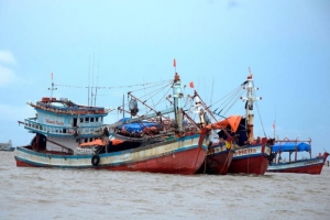 Cà Mau: Hơn 99% tàu cá đã lắp đặt thiết bị giám sát hành trình (VMS)