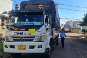 Gia Lai: Phát hiện lô hàng không có hóa đơn chứng từ