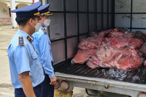 Nghệ An: Phát hiện 650 kg thịt sườn lợn đã bốc mùi hôi thối trên đường đi tiêu thụ