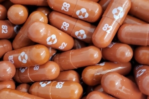 Bộ Y tế thông tin hiệu quả của thuốc Molnupiravir trong điều trị bệnh nhân Covid-19