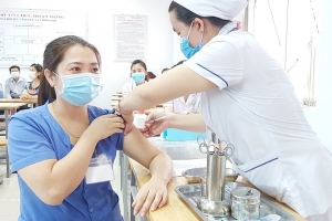 Ngày 10/11: Có 1.254 bệnh nhân Covid-19 được chữa khỏi