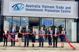 Phát triển thị trường cá tra, cá basa đông lạnh của Việt Nam tại Australia