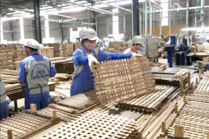 Thương mại Việt Nam - Thuỵ Sĩ vẫn còn nhiều dư địa phát triển