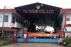 Ngày 29/11, Quảng Nam có 84 ca mắc Covid-19, 37 ca cộng đồng