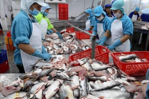 Sản lượng thủy sản tháng 11 tăng nhẹ