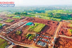 Thanh tra Bộ Xây dựng vào cuộc vụ việc "Loạn phân lô bán nền" ở Lâm Đồng
