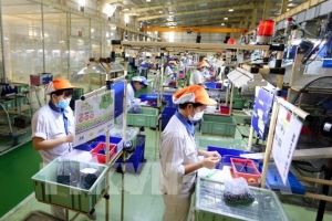 Hà Nội phấn đấu 100% doanh nghiệp thụ hưởng chính sách hỗ trợ