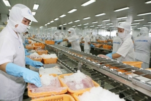 Việt Nam vượt kế hoạch xuất siêu năm 2022 nếu tận dụng tốt FTA