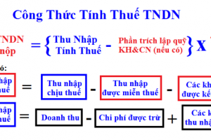 1.000 doanh nghiệp nộp thuế thu nhập doanh nghiệp chiếm 62,4 tổng thu ngân sách Nhà nước