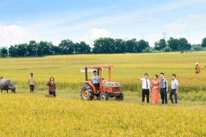 LienVietPostBank: Cho vay nông nghiệp là ưu tiên hàng đầu