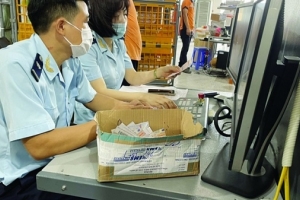Triển khai phần mềm khai hải quan miễn phí cho doanh nghiệp