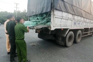 Thu giữ 42 tấn hạt cà phê không rõ nguồn gốc