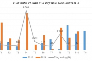 Xuất khẩu cá ngừ sang Australia tăng 103%