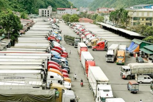 Phó Thủ tướng yêu cầu 06 bộ vào cuộc tháo gỡ ùn tắc nông sản tại Lạng Sơn
