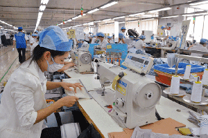 Tập đoàn Dệt may báo lãi gấp đôi năm ngoái, vượt xa kế hoạch năm