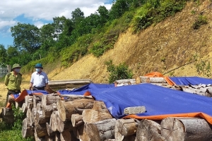 Thanh Hóa thực hiện tốt công tác phòng, chống buôn lậu lâm sản, động vật hoang dã trái phép