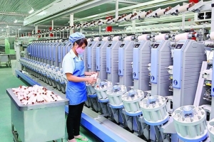 Doanh nghiệp thành viên Hiệp hội Vattap cần liên kết và làm chủ nguồn nguyên liệu và xây dựng thương hiệu