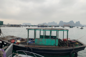 Quảng Ninh: Bắt giữ phương tiện vận chuyển 1200 lít dầu Diezen không có hóa đơn chứng từ