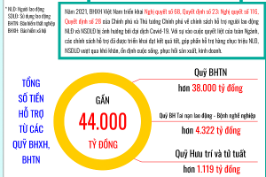 [Infographic] Kết quả thực hiện các chính sách hỗ trợ do ngành BHXH Việt Nam thực hiện trong năm 2021