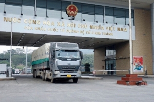 Trung Quốc khôi phục nhập khẩu trái cây tươi qua cửa khẩu Hà Khẩu