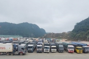 Lạng Sơn thông báo tạm dừng tiếp nhận xe chở hoa quả từ ngày 17/01