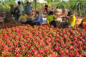 Tăng cường các biện pháp chống dịch Covid-19 nhằm bảo đảm an toàn trong sản xuất và vận chuyển hàng hoá