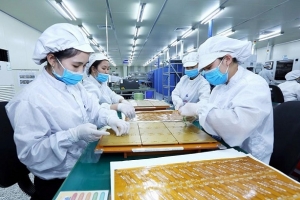 Doanh nghiệp cần làm gì để tận dụng tối đa các cam kết trong RCEP?