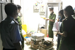 Phát hiện hàng tấn thực phẩm đông lạnh không rõ nguồn gốc xuất xứ tại Đồng Nai