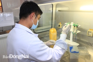 Tỉnh Đồng Nai ban hành 4 kịch bản ứng phó với biến chủng Omicron