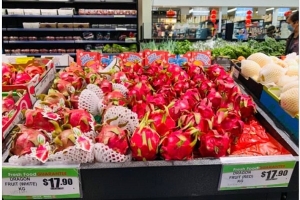 Thanh long Việt Nam liên tục cập bến Australia