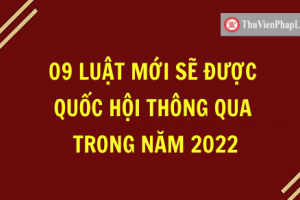 '1 luật sửa 9 luật' đã được chuẩn bị kỹ, khó tham nhũng chính sách