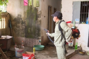 Hà Nội xây dựng các tình huống đối phó với dịch bệnh sốt xuất huyết