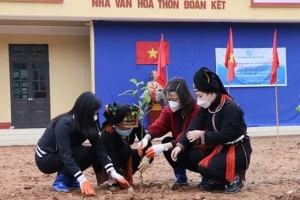 Hội Phụ nữ tỉnh Yên Bái ra quân "Tết trồng cây đời đời nhớ ơn Bác Hồ"