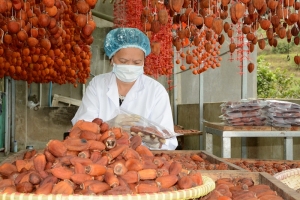 Kết nối phân phối nông sản, mỹ nghệ “tinh hoa hàng Việt”