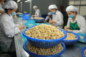 Cơ hội tham dự Triển lãm quốc tế nông nghiệp tại Senegal