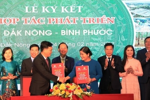 Bình Phước và Đắk Nông ký kết hợp tác phát triển giai đoạn 2022-2025