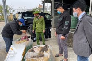 Công an Thừa Thiên Huế bắt giữ xe chở 02 tấn nội tạng không rõ nguồn gốc