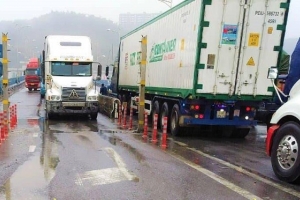 Kim ngạch xuất khẩu hàng hóa của Lào Cai trong 02 tháng đầu năm ước đạt 410,11 triệu USD