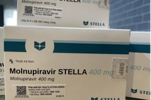 Đề xuất 02 phương án cung ứng thuốc Molnupiravir điều trị Covid-19