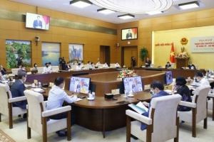 Tham vấn hay tư vấn chuyên gia là phải để họ nói ra ý kiến