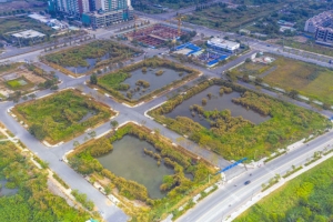 Bộ Tài chính lại đề xuất đánh thuế nhà và tài sản bất động sản