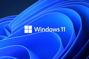 Hệ điều hành Windows 11 đang tiếp tục có sự gia tăng về thị phần